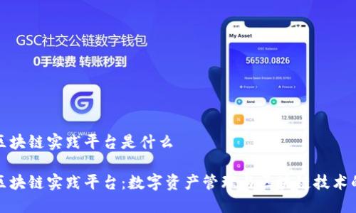 知链区块链实践平台是什么

知链区块链实践平台：数字资产管理与区块链技术的结合