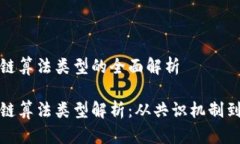 数字区块链算法类型的全面解析数字区块链算法